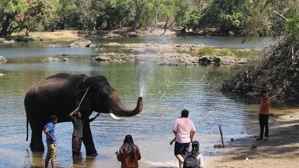 dubare elephant camp